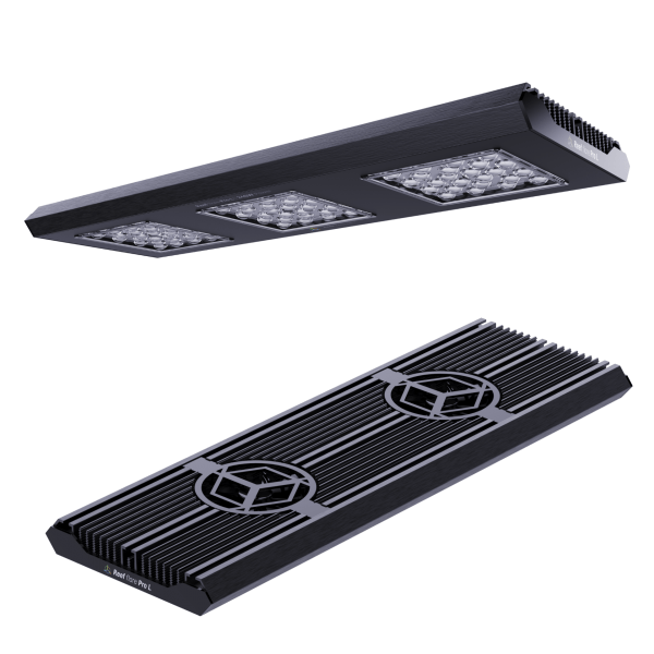 reef flare pro L
