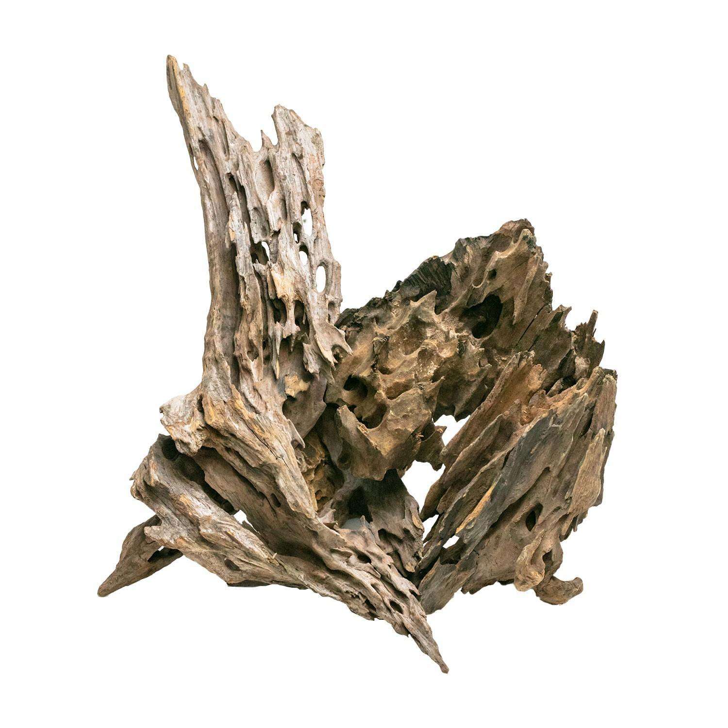 dragon-wood AQpet Dragon Wood Legno Naturale