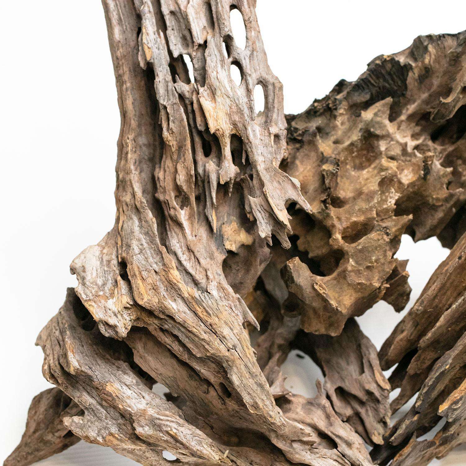 dragon-wood2