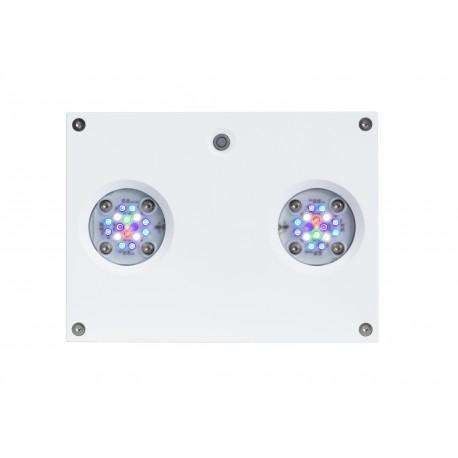 hydra-32hdw