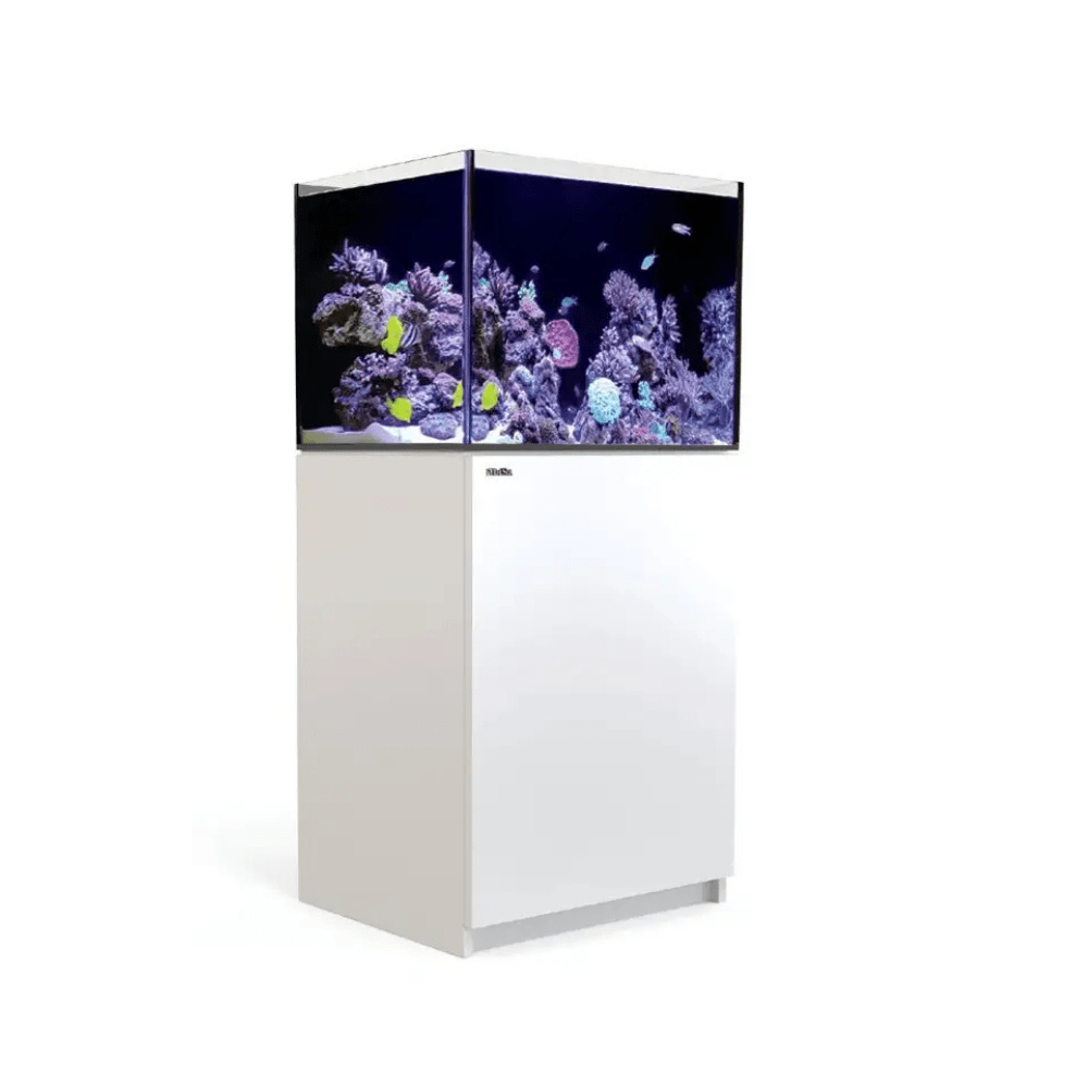 reefer170b