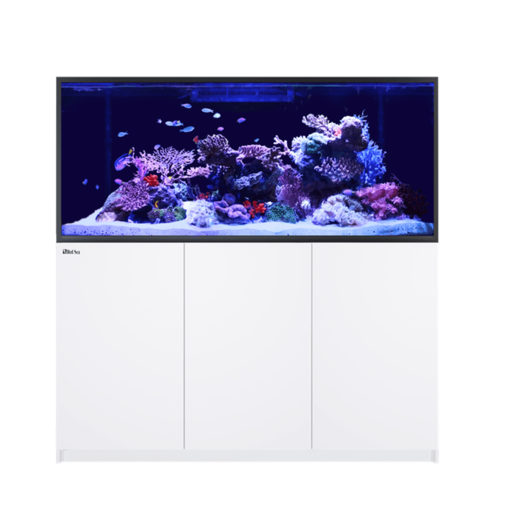 Red Sea – REEFER G2+ S 1000 – Complete System  Litri: 1000l (Sistema completo) Dimensioni vasca 210x68x65hcm Litri vasca: 273l Altezza (comprensiva di mobile) 153cm Sump: 795l Extra-chiaro Incluso ReefATO+ Red Sea – REEFER G2+ S 1000 – Complete System Litri: 1000l (Sistema completo) Dimensioni vasca 210x68x65hcm Litri vasca: 273l Altezza (comprensiva di mobile) 153cm Sump: 795l Extra-chiaro Incluso ReefATO+