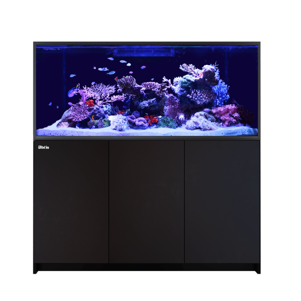 Red Sea – REEFER G2+ S 1000 – Complete System  Litri: 1000l (Sistema completo) Dimensioni vasca 210x68x65hcm Litri vasca: 273l Altezza (comprensiva di mobile) 153cm Sump: 795l Extra-chiaro Incluso ReefATO+ Red Sea – REEFER G2+ S 1000 – Complete System Litri: 1000l (Sistema completo) Dimensioni vasca 210x68x65hcm Litri vasca: 273l Altezza (comprensiva di mobile) 153cm Sump: 795l Extra-chiaro Incluso ReefATO+