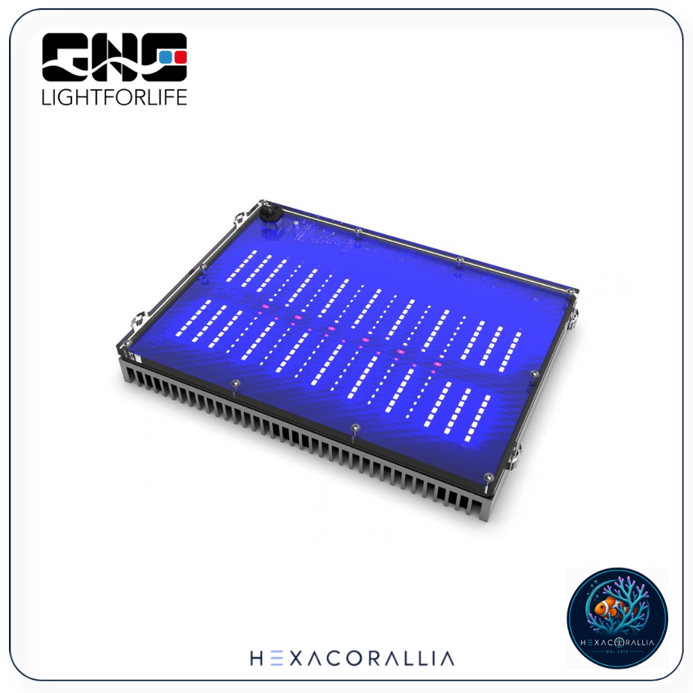 Gnc BluRay X M