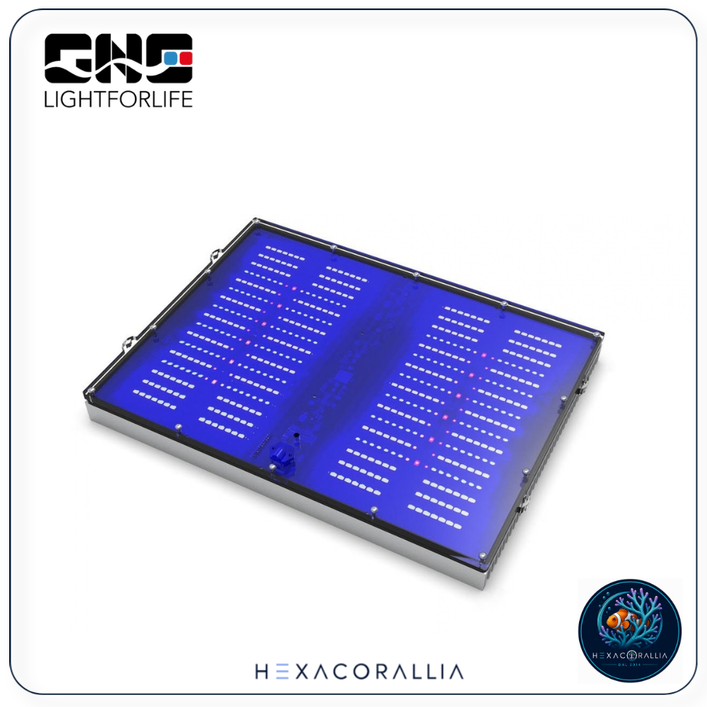 Gnc BluRay X