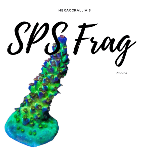 Frag SPS