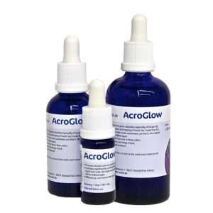 Korallen-Zucht AcroGlow