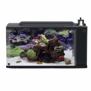 First Wave Aquarium Set - 48L EU
