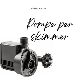 pompe per skimmer