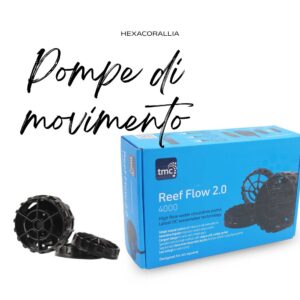 Pompe di Movimento