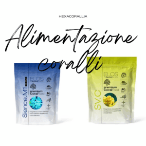 Alimentazione Coralli