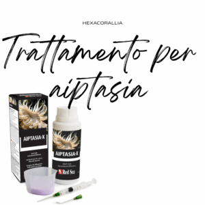 Trattamento per Aiptasia