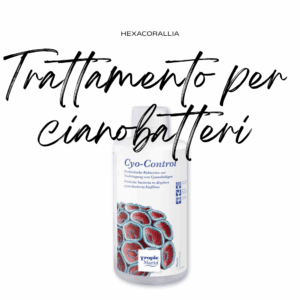 Trattamento per cianobatteri