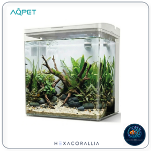 Aqpet neya acquario da scrivania bianco