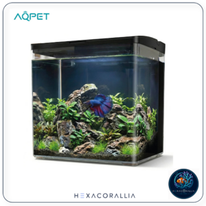 Aqpet neya acquario da scrivania nero