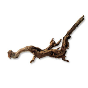 ADA Horn Wood