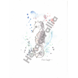 Stampa – Acquerello hippocampo - Hexacorallia Roma