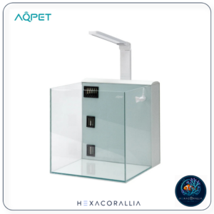 AQpet Kubic 50 Rear Bianco