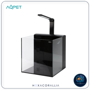 AQpet Kubic 50 Rear Nero