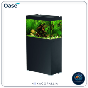 Oase StyleLine 125